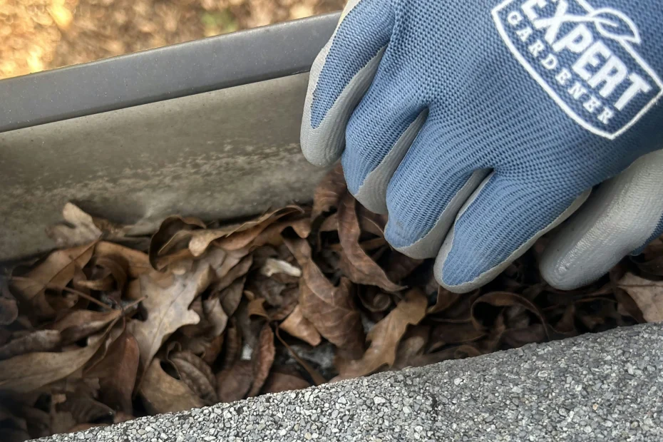 Pittsford Gutter Cleaning